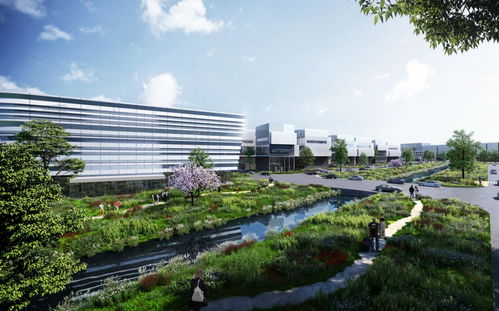 食品超級工廠 橡膠黃金 總投資245億元,一批重大產(chǎn)業(yè)項目落地金山