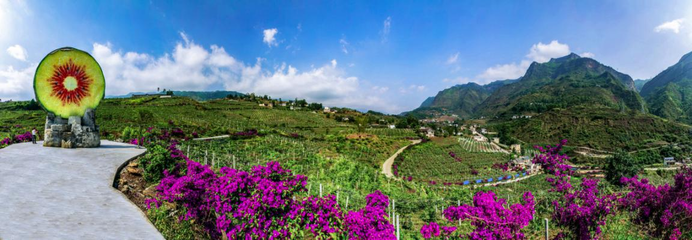 六盤(pán)水市水城區(qū):&ldquo;五型&rdquo;村居固成果 鄉(xiāng)村振興開(kāi)新局