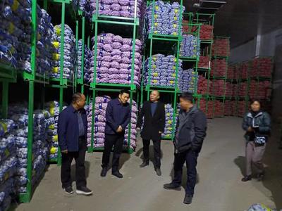 祥符區(qū)仇樓鎮(zhèn):&ldquo;小蒜頭&rdquo;帶動富民&ldquo;大產業(yè)&rdquo;