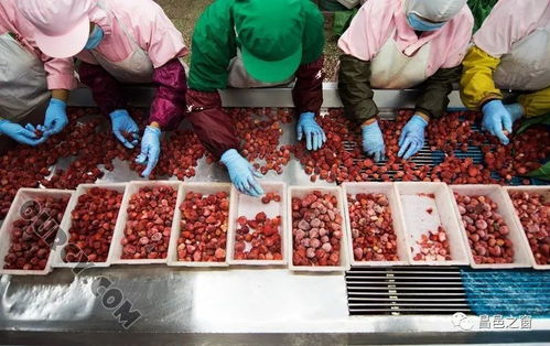 改開四十年 農林牧漁篇